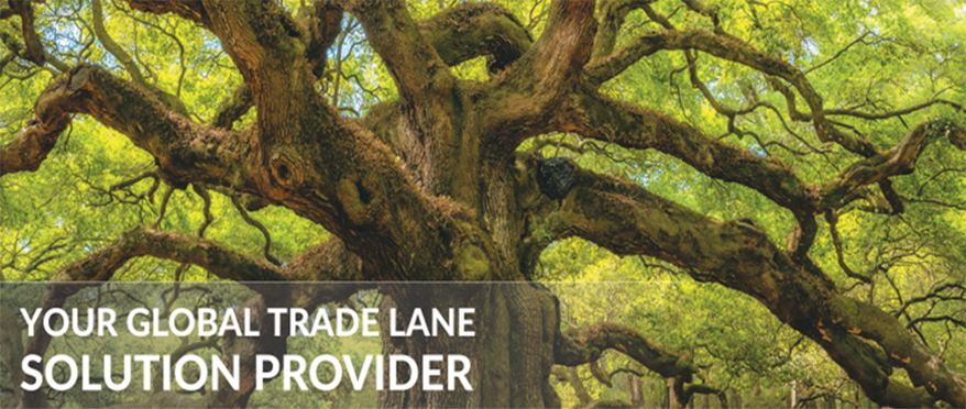 AsstrA Business - AsstrA is Your global trade lane solution provider